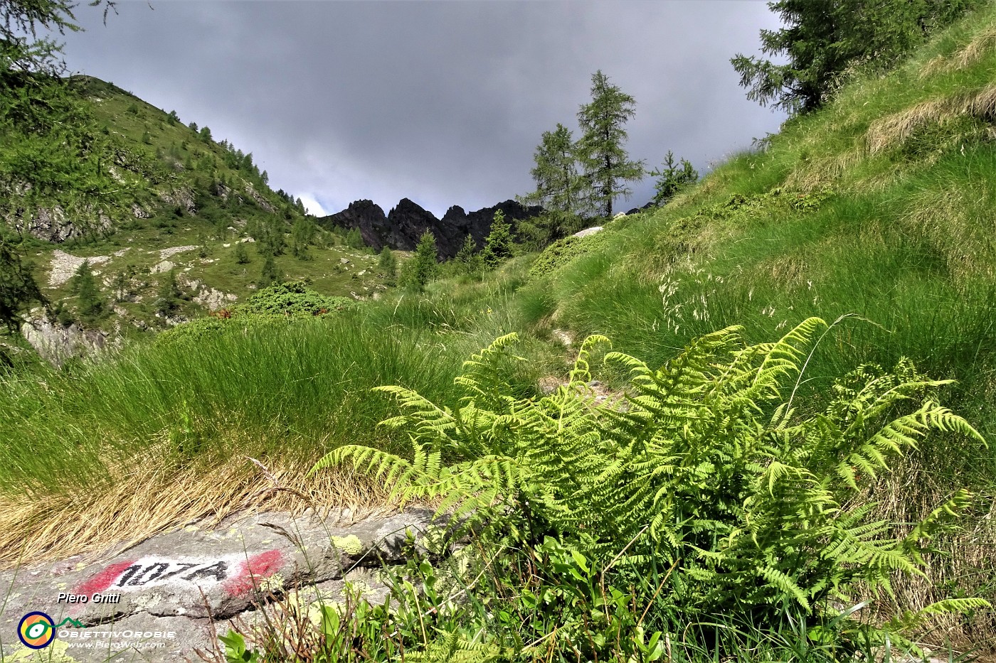 32 Termina il bosco e la valle si apre....JPG